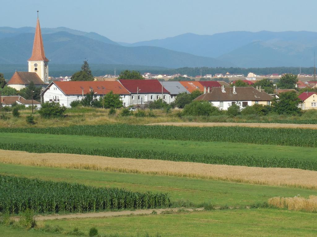 Готель Vila Bel Ami Шелімбер Номер фото